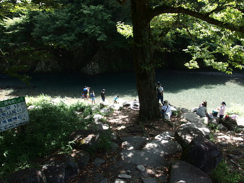 P8133631