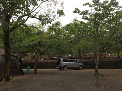 P4303498