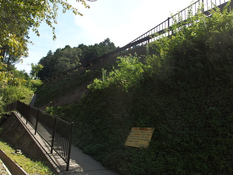 P9093661