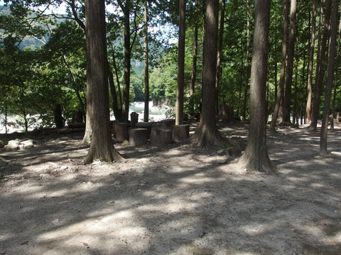 P9093672