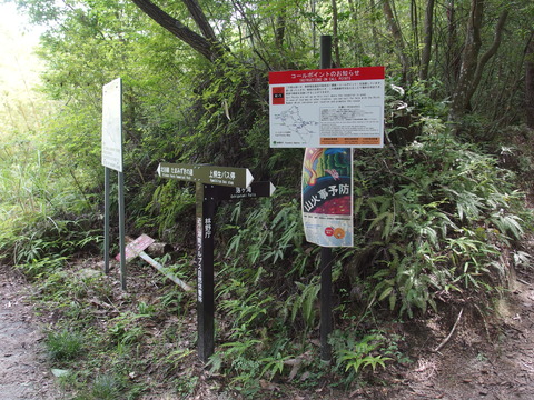 P6183544