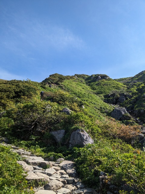 PXL_20230619_230658892