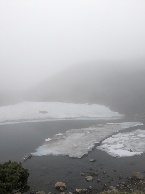 PXL_20230620_010138578