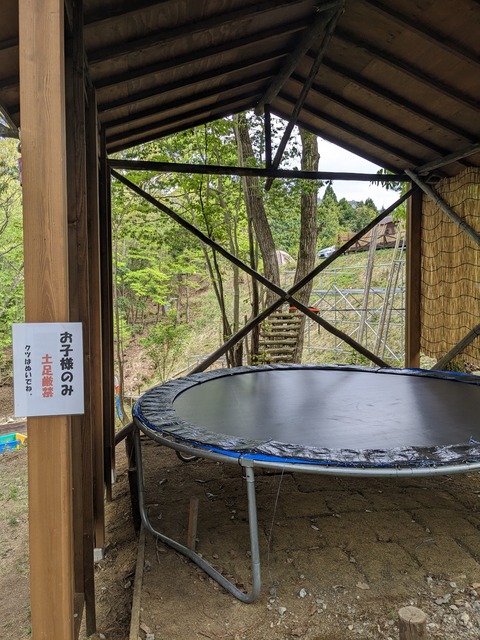 PXL_20230501_050106014