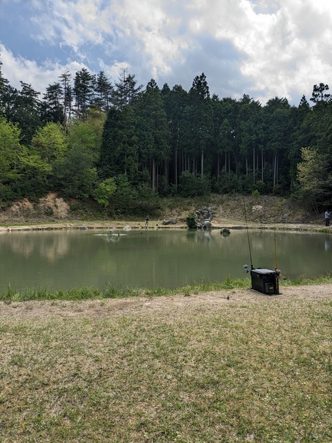 PXL_20230501_051121552