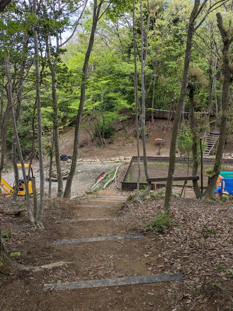 PXL_20230501_050118779