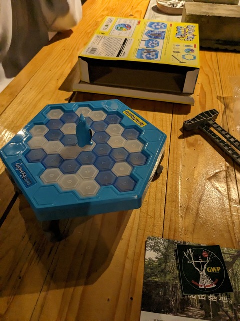 PXL_20230501_110350650