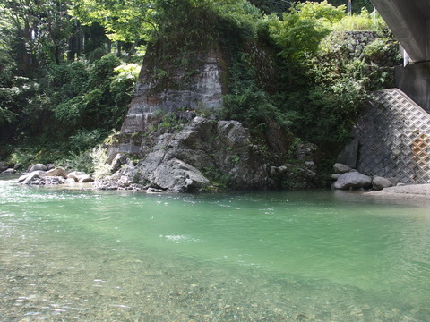 P9093676