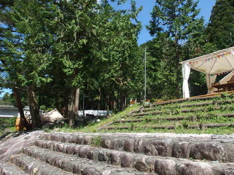 P9093665