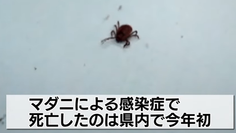 スクリーンショット 2025-05-06 155420