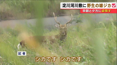 20170921-00000070-mbsnewsv-000-thumb