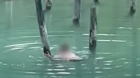 スクリーンショット 2024-05-24 184338