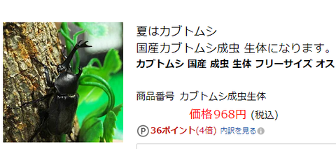 2575c9fb-s