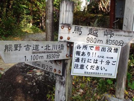 o0448033610862341430