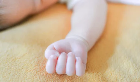 スクリーンショット 2025-05-06 155420