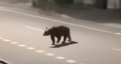 スクリーンショット 2025-05-06 155420