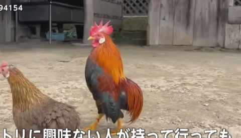 スクリーンショット 2025-04-20 095838