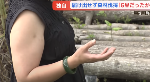 スクリーンショット 2025-05-06 155420