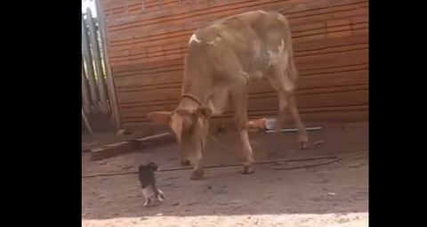 5f057b6391a3895dc0b04dcbc1822992