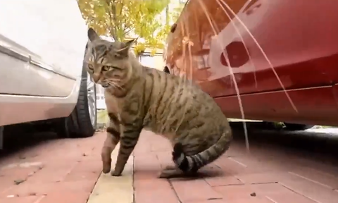 スクリーンショット 2023-03-07 094008