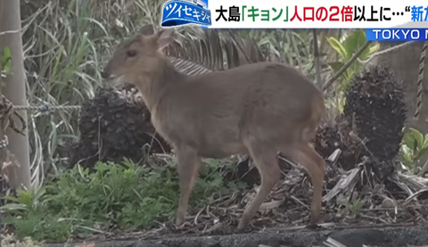 スクリーンショット 2025-05-06 155420