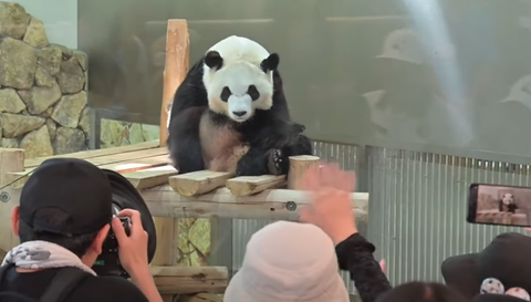 スクリーンショット 2025-05-06 155420