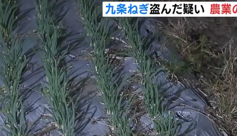 スクリーンショット 2024-07-28 193124