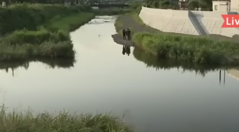 スクリーンショット 2023-06-10 203032