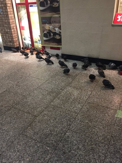 DMtoMkQUMAAI5Se