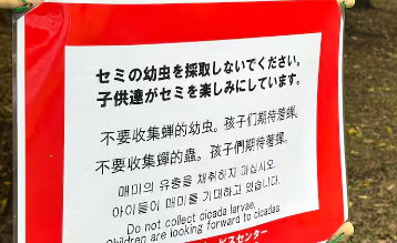 スクリーンショット 2025-05-06 155420