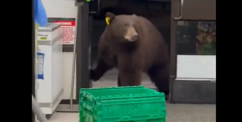 5f057b6391a3895dc0b04dcbc1822992