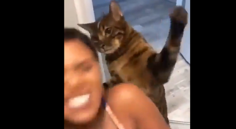 5f057b6391a3895dc0b04dcbc1822992