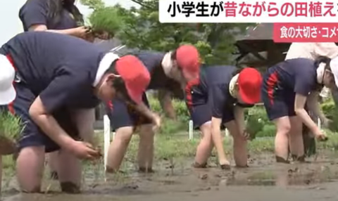 スクリーンショット 2025-05-06 155420