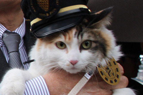 MAIN201506261420000155243286330