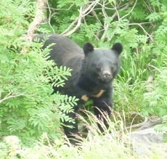 o0240022812466487521