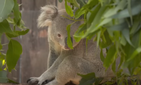 スクリーンショット 2025-05-06 155420