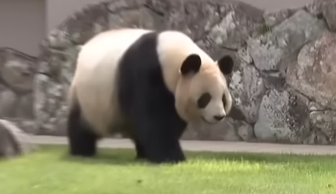 スクリーンショット 2025-04-20 095838