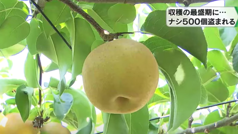スクリーンショット 2024-07-28 193124