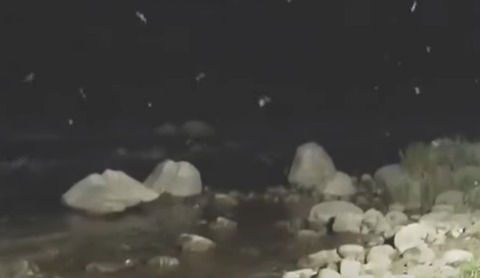 スクリーンショット 2025-04-20 095838