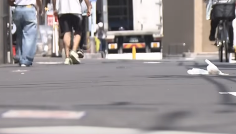 スクリーンショット 2025-04-20 095838