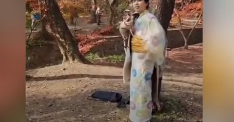 スクリーンショット 2024-12-18 133654