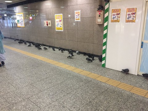DMtoMkPUEAEpIyN