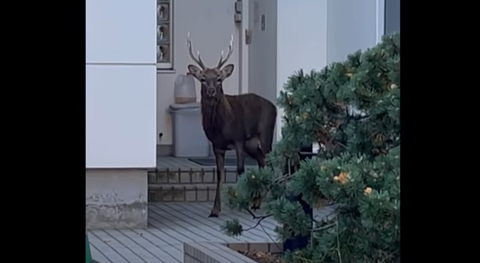 スクリーンショット 2023-03-07 094008