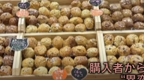 スクリーンショット 2023-11-08 191522