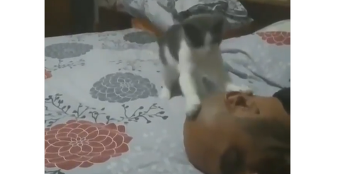 5f057b6391a3895dc0b04dcbc1822992