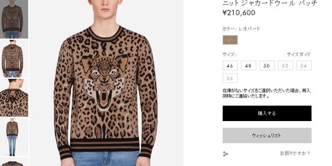 キャプチャ