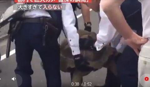 キャプチャ