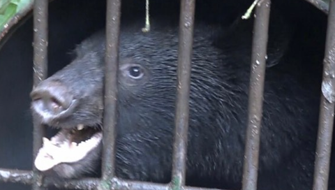 スクリーンショット 2023-02-06 105610