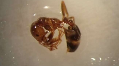 スクリーンショット 2025-05-06 155420