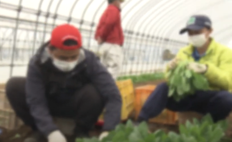 スクリーンショット 2025-05-13 205802